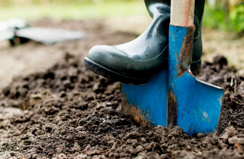 Перекопка почвы