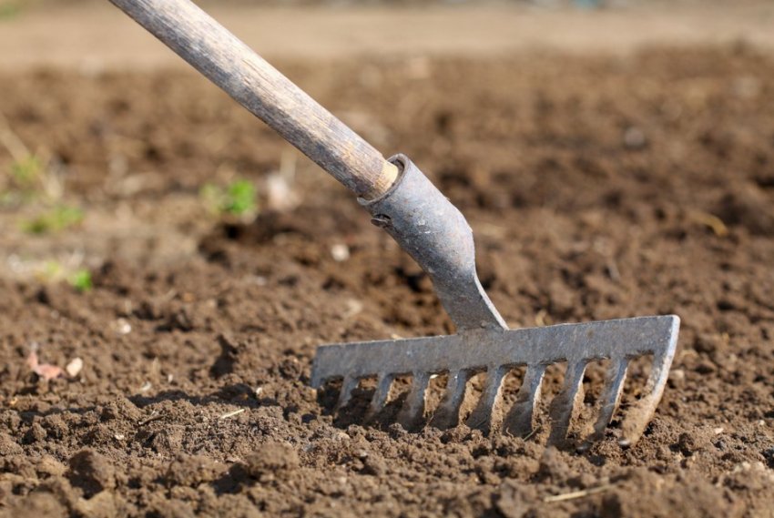 Рыхление почвы