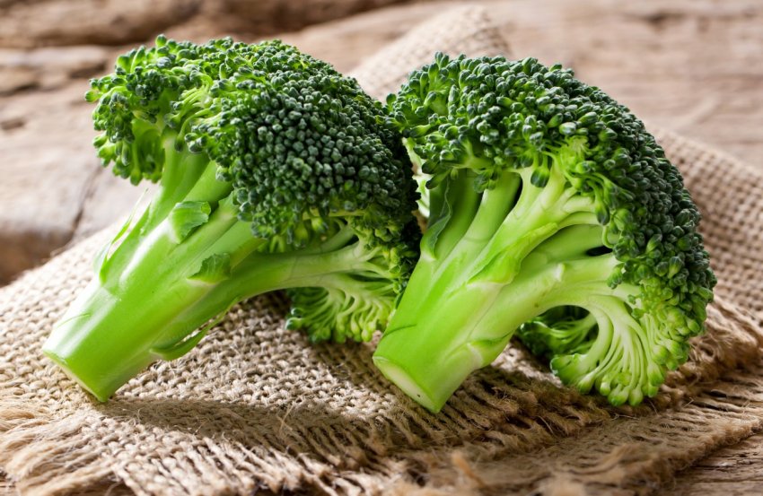 Шотландські овочеводи турбуються про працівників з Східної Європи Шотландські овочеводи турбуються про працівників з Східної Європи