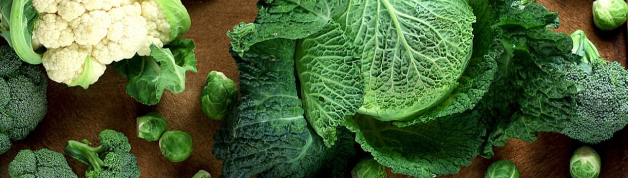 Шотландські вирощувачі овочів турбуються про робітників з Східної Європи