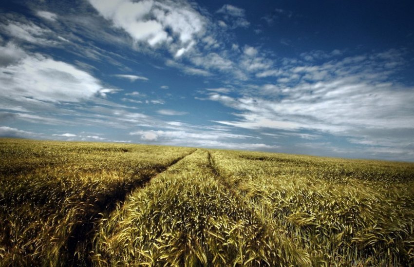 ВАС проведе всеукраїнське земельне віче ВАС проведе всеукраїнське земельне віче