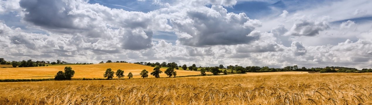 Вас запросять на всеукраїнське земельне віче