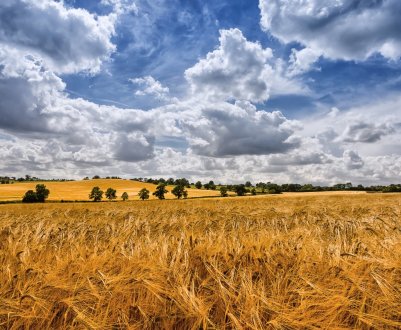 Вас запросять на всеукраїнське земельне віче