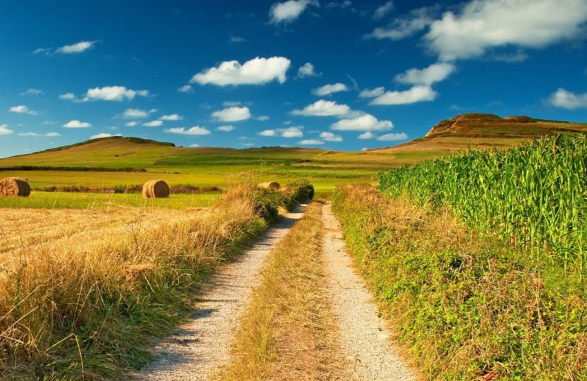 ВАС проведе всеукраїнське земельне віче ВАС проведе всеукраїнське земельне віче