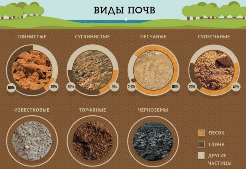 Види ґрунтів