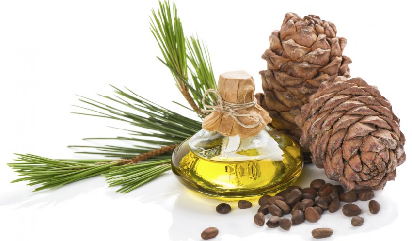 Масло кедрового горіха