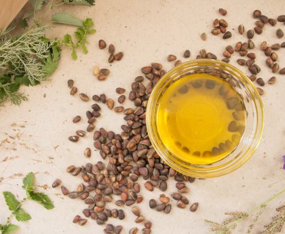 Користь і шкода кедрової олії