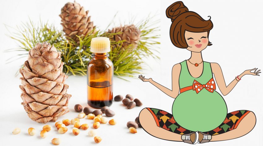 Масло кедрового горіха під час вагітності