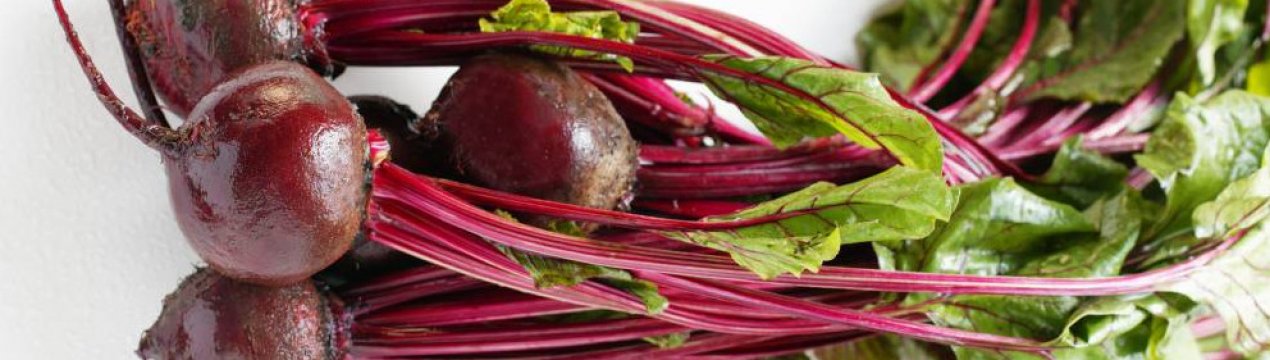 Хвороби буряків у відкритому грунті і боротьба з ними