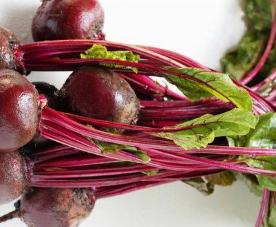 Хвороби буряків у відкритому грунті і боротьба з ними