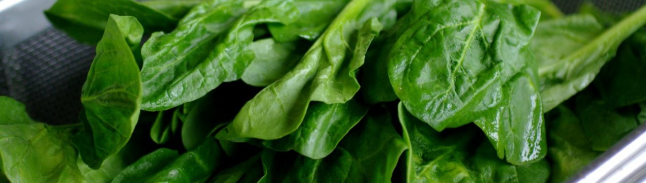 У Туреччині понад 60 людей отруїлися, скуштувавши шпинат