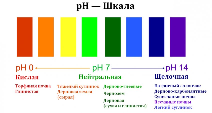 Шкала кислотності грунту Шкала кислотності грунту