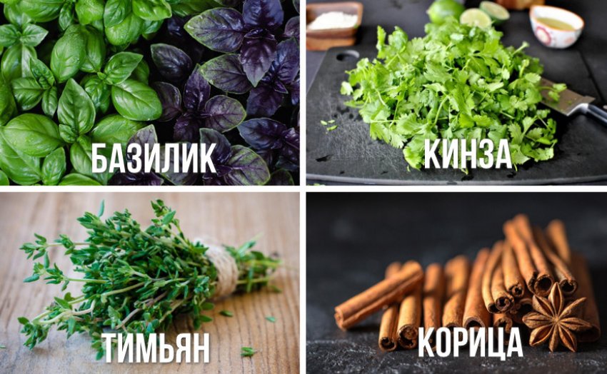 Шафран запах на что похож. Смотреть фото Шафран запах на что похож. Смотреть картинку Шафран запах на что похож. Картинка про Шафран запах на что похож. Фото Шафран запах на что похож
