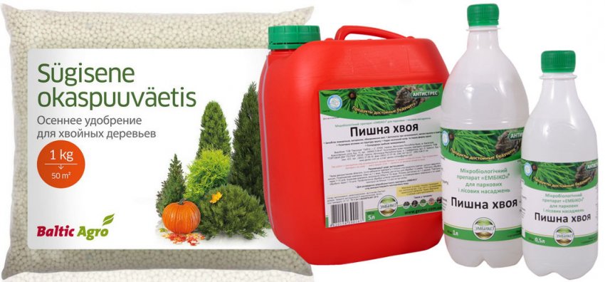 Удобрения для хвойных