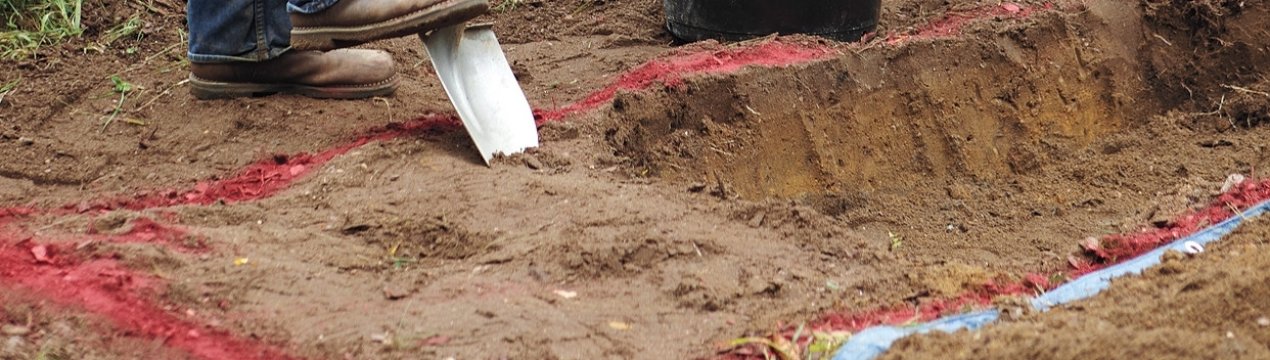 Какая почва подходит для выращивания гвоздики и как ее улучшить