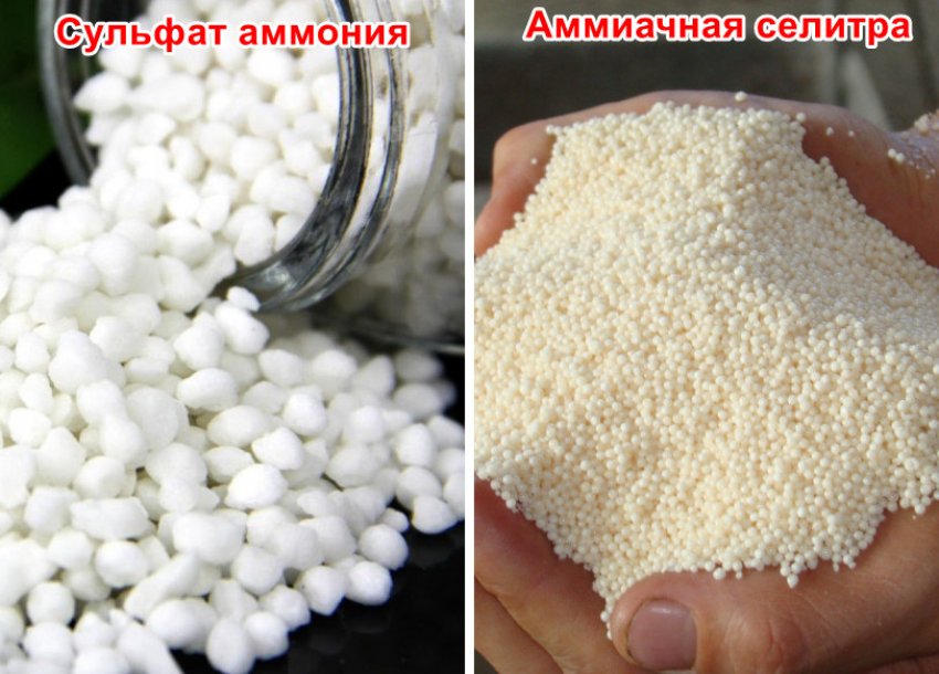 Речовини для ґрунту Речовини для ґрунту