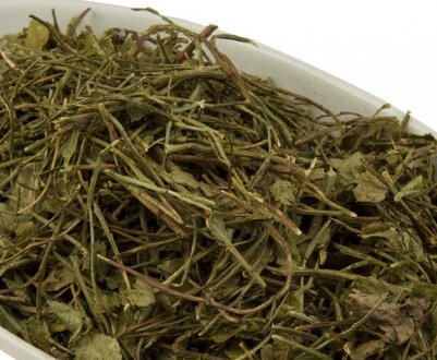 Лікувальні властивості пагонів чорниці