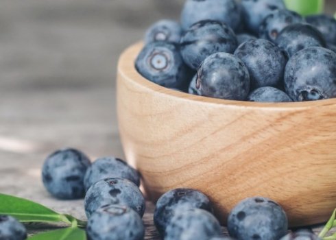 Коли починається сезон збору чорниць в Росії?