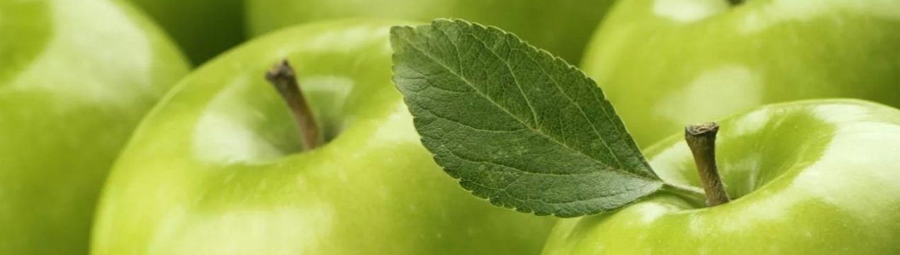 Унікальний яблуневий сад Канади нараховує понад 1 тисячу сортів яблук