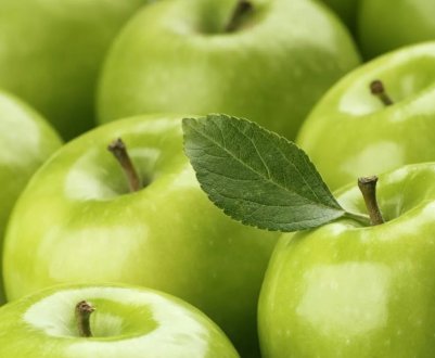 Унікальний яблуневий сад Канади нараховує понад 1 тисячу сортів яблук