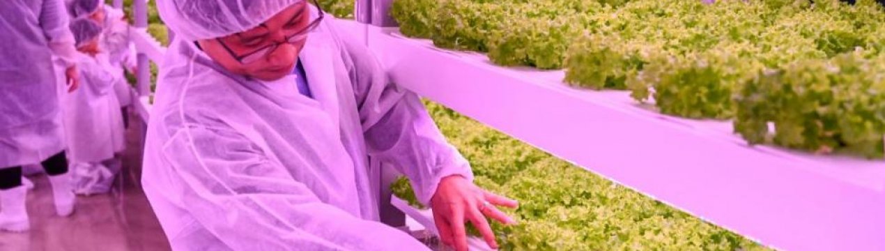 Ферми південної Кореї спустилися у метро