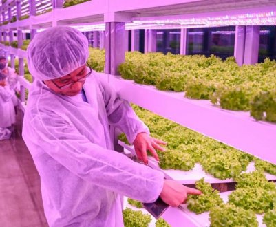 Ферми південної Кореї спустилися у метро