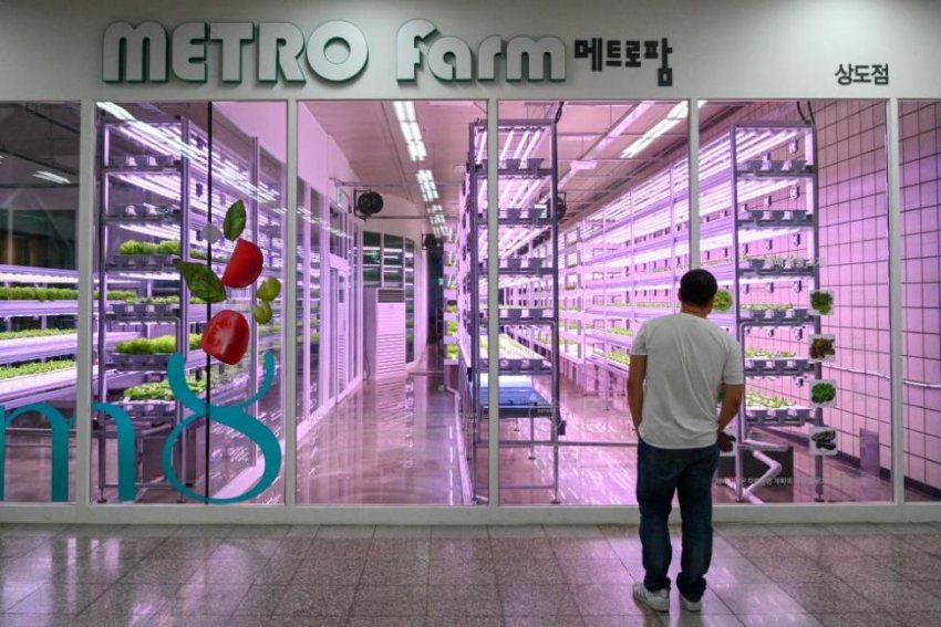 Ферми Південної Кореї зіткнулися в метро Ферми Південної Кореї зіткнулися в метро