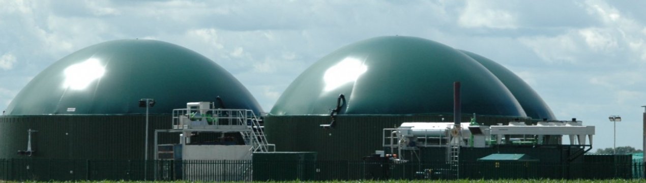 Біоенергетика може стати основним джерелом органічних добрив в Україні