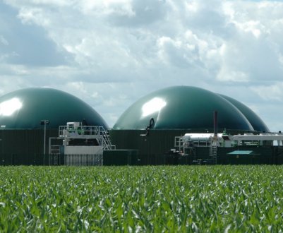 Біоенергетика може стати основним джерелом органічних добрив в Україні