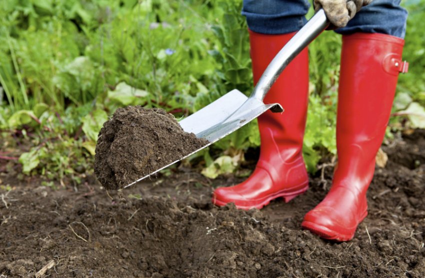 Підготовка грядки Підготовка грядки