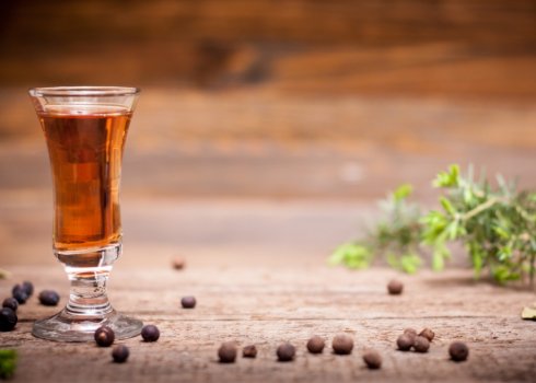 Користь і шкода алкогольних напоїв з можжевельника та особливості їх приготування