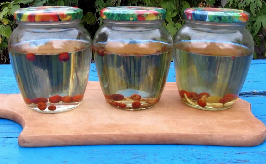 Самогон из можжевельника Самогон из можжевельника