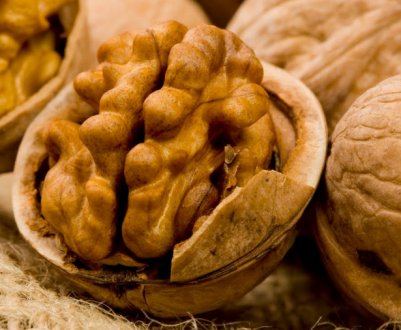 Чому грецькі горішки гіркотять і як видалити з них гіркість