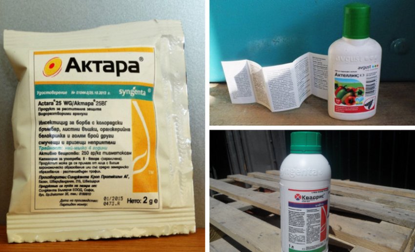 Препараты против вредителей можжевельника Препараты против вредителей можжевельника