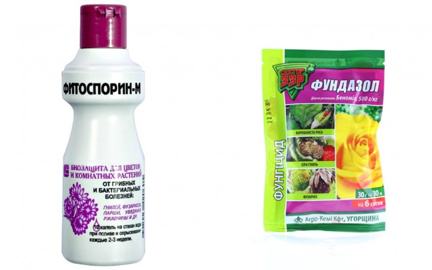 Фітоспорин і Фундазол desc