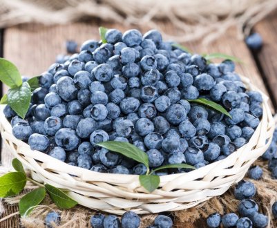 Використання чорниці при грудному вигодовуванні