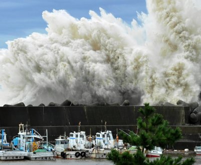 Тайфуни зруйнували ферми в Японії