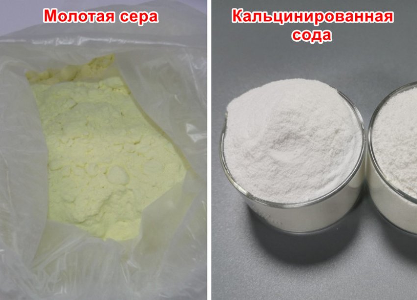 лимонник сохнут листья что делать. Смотреть фото лимонник сохнут листья что делать. Смотреть картинку лимонник сохнут листья что делать. Картинка про лимонник сохнут листья что делать. Фото лимонник сохнут листья что делать