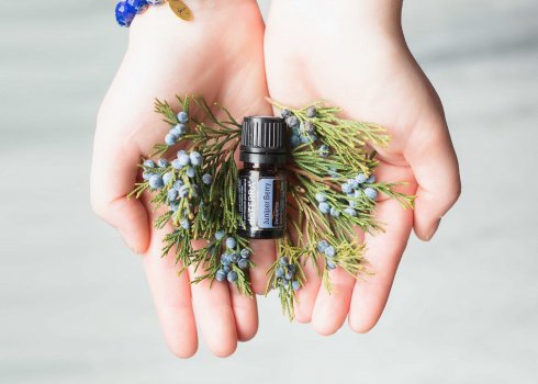 Застосування олії можживельника в різних сферах