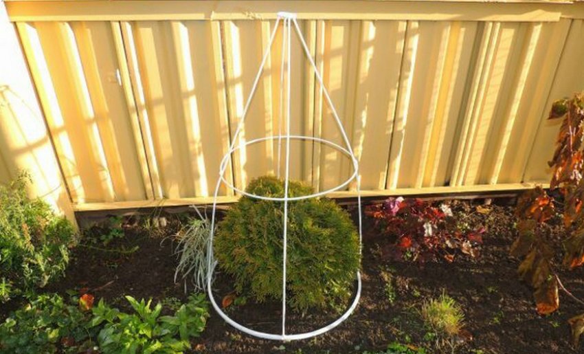 Каркас для тінювання саженця туї Каркас для тінювання саженця туї