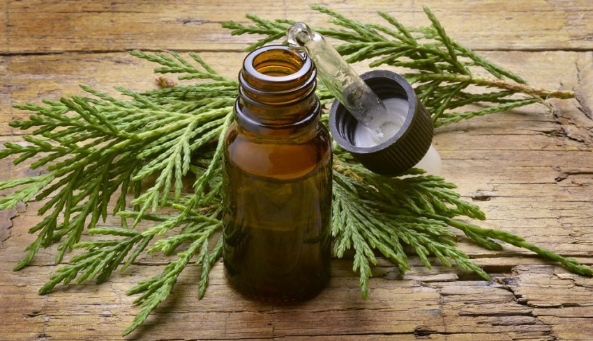 Застосування ефіролю можжевелівника