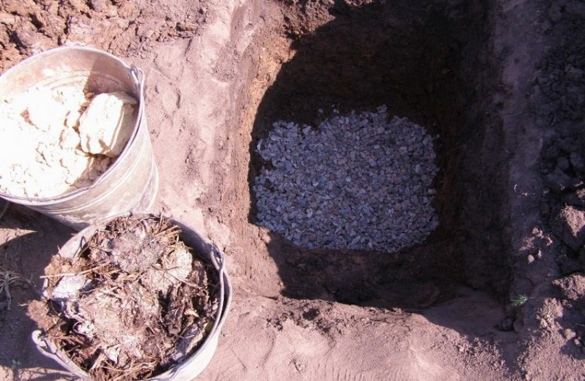 Посадочная яма с дренажом Посадочная яма с дренажом