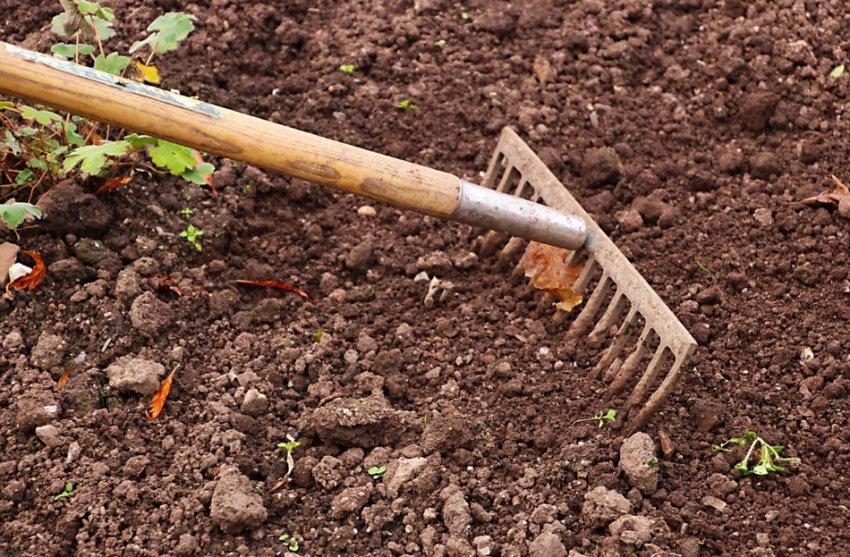 Рыхление Рыхление