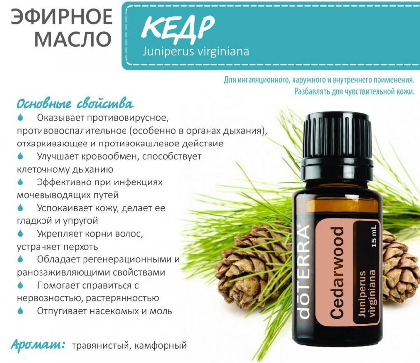 Властивості кедрової олії