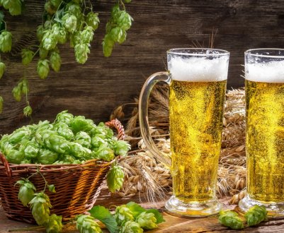 Вертикальні фермери Великобританії захопилися виготовленням пива