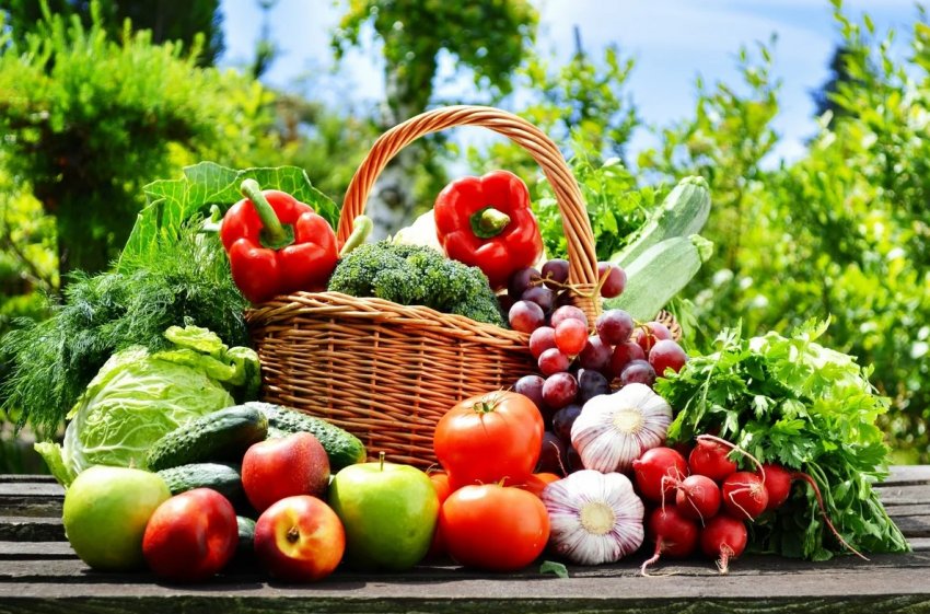 Міські ферми незабаром стануть основними виробниками сільськогосподарської продукції