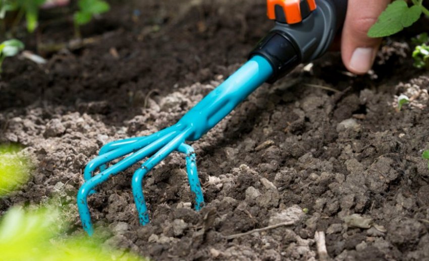 Рыхление почвы Рыхление почвы