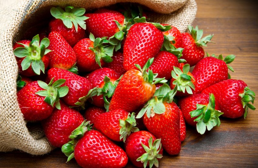 Під вирощування ягід у Підмосков'ї виділили 5 гектарів землі Під вирощування ягід у Підмосков'ї виділили 5 гектарів землі