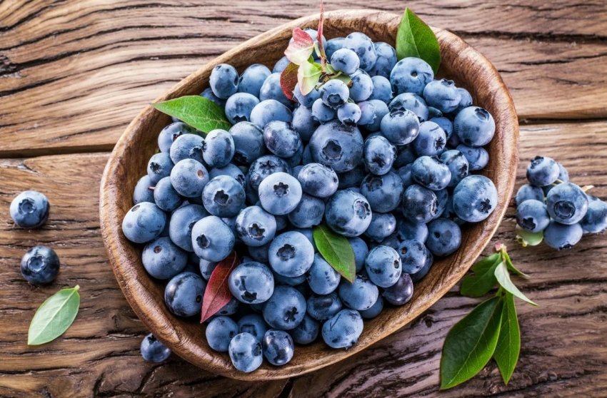 Під вирощування ягід у Підмосков'ї виділили 5 гектарів землі Під вирощування ягід у Підмосков'ї виділили 5 гектарів землі