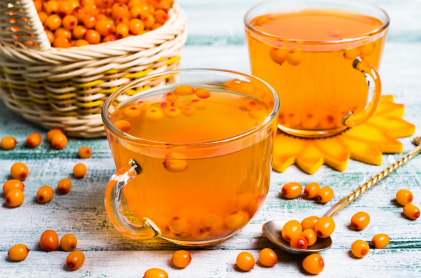 Облепиховый чай: польза и вред для здоровья, полезные свойства напитка для женщин, рецепты из ягод, листьев и коры